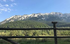 Pensiunea Kyfana Zarnesti